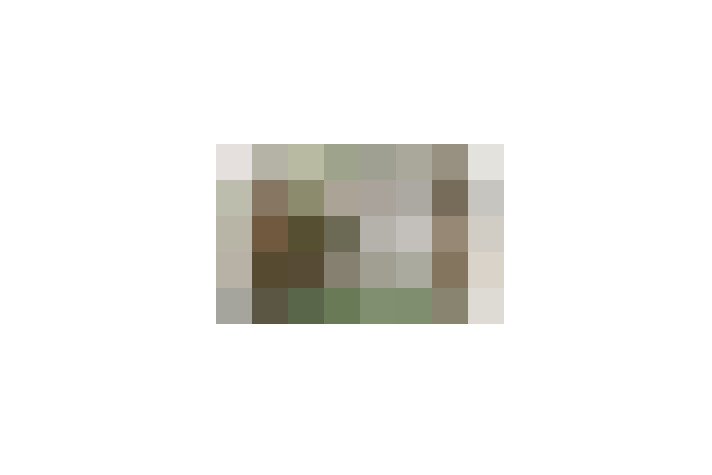  / #16