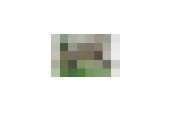  / #17