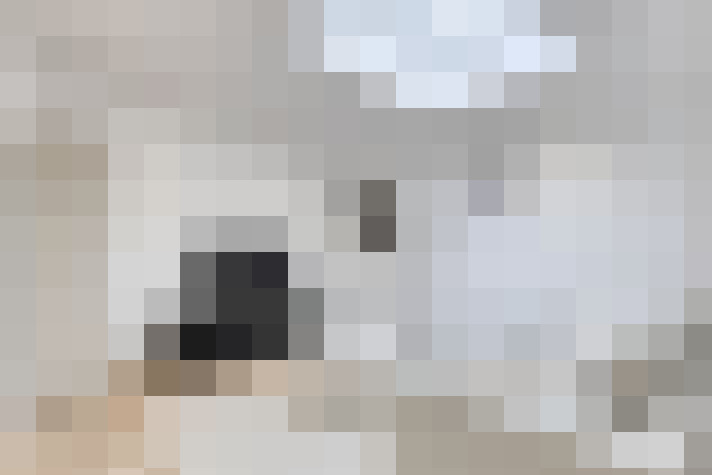  / #8