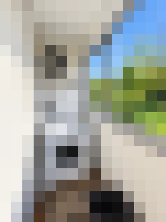  / #5