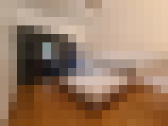  / #8