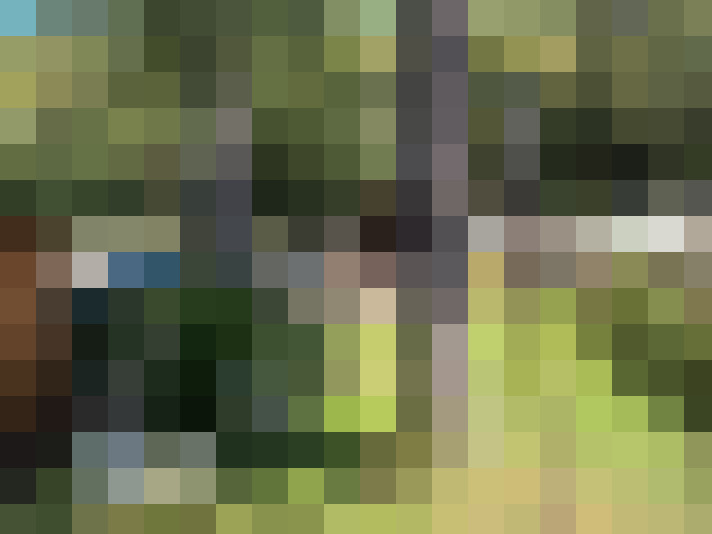  / #14