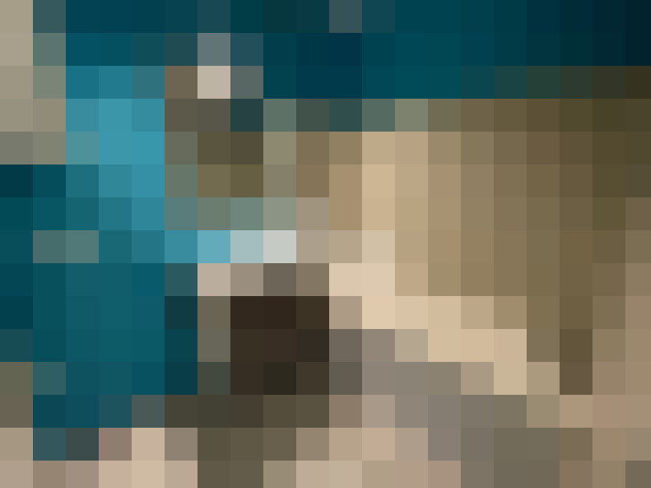  / #7