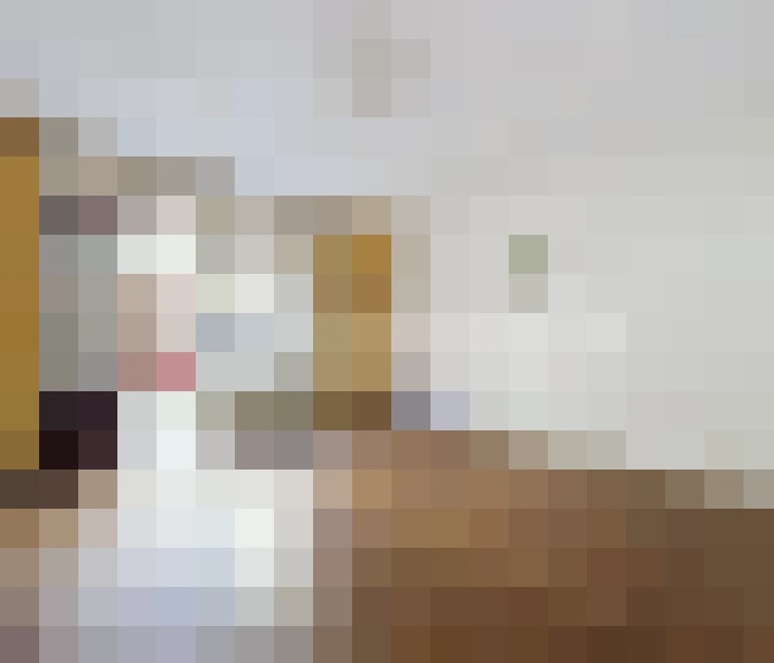  / #16