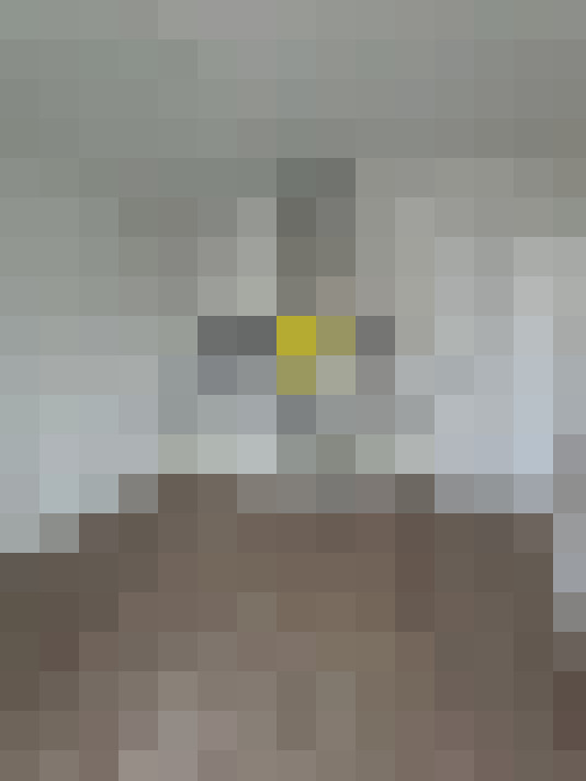  / #10