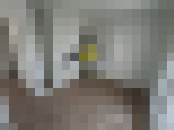  / #9