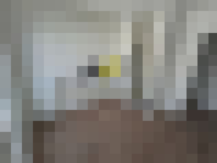  / #12