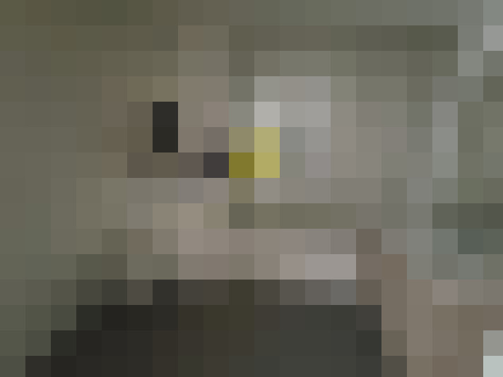  / #13