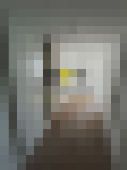  / #15