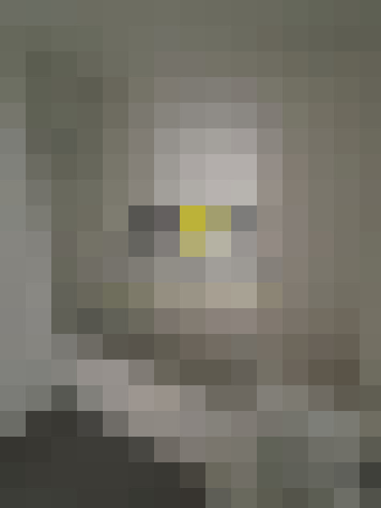  / #15