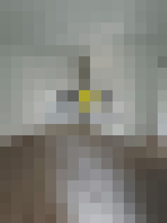  / #13