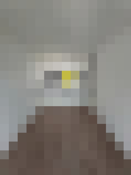  / #10