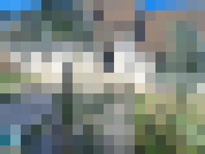  / #15