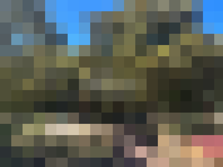  / #15