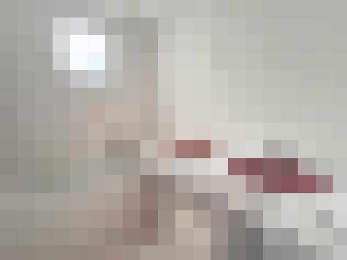  / #16