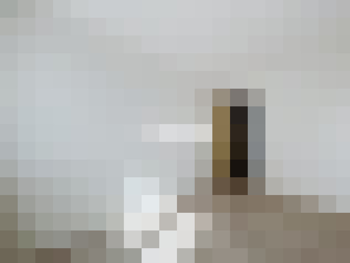  / #11
