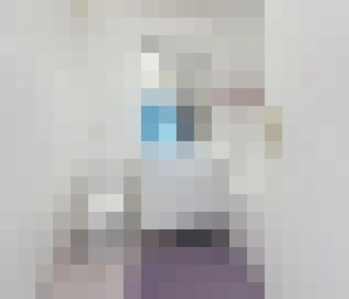  / #8
