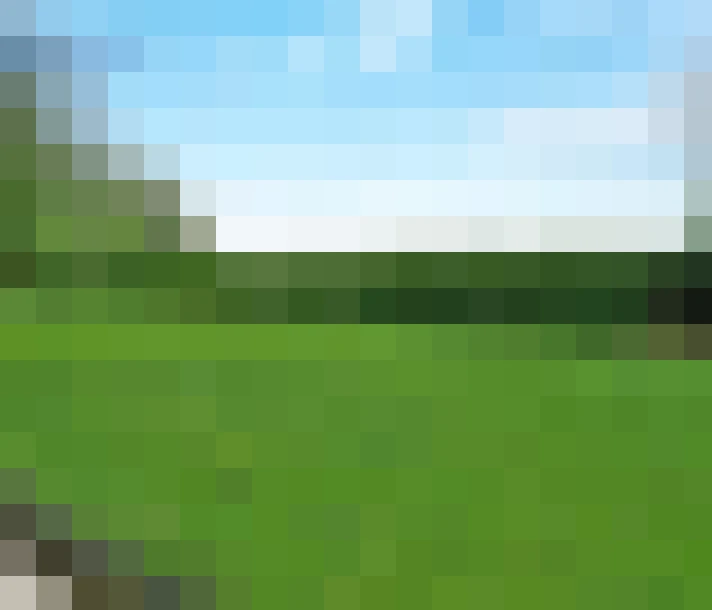  / #9