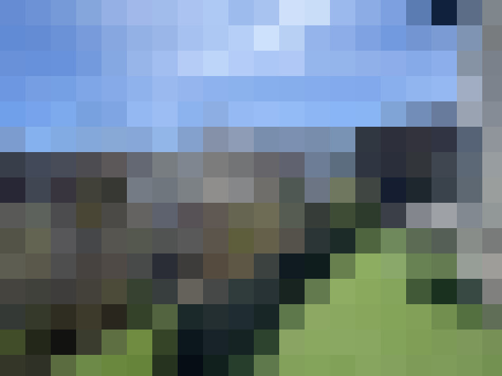  / #7