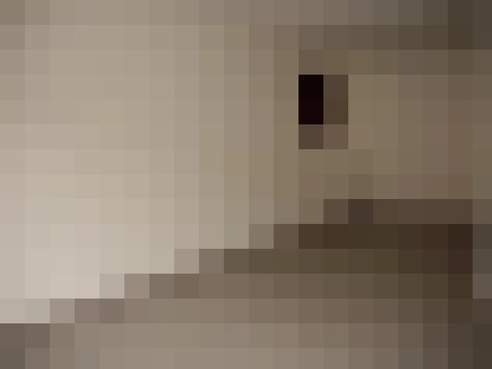  / #12