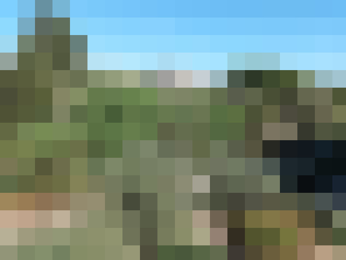  / #12