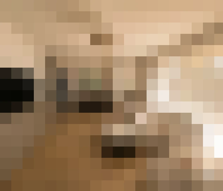  / #14