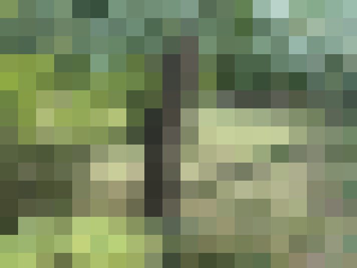  / #8