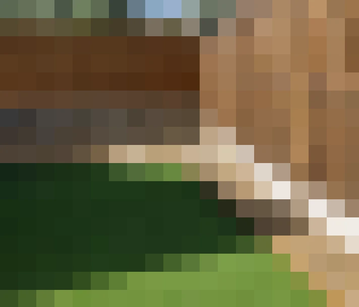  / #7