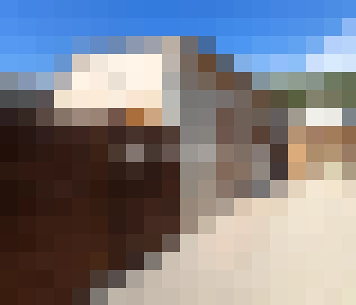  / #8