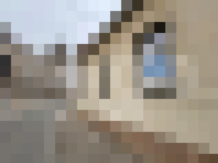  / #9