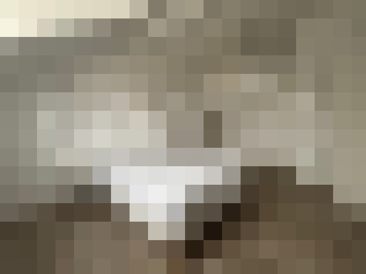  / #8