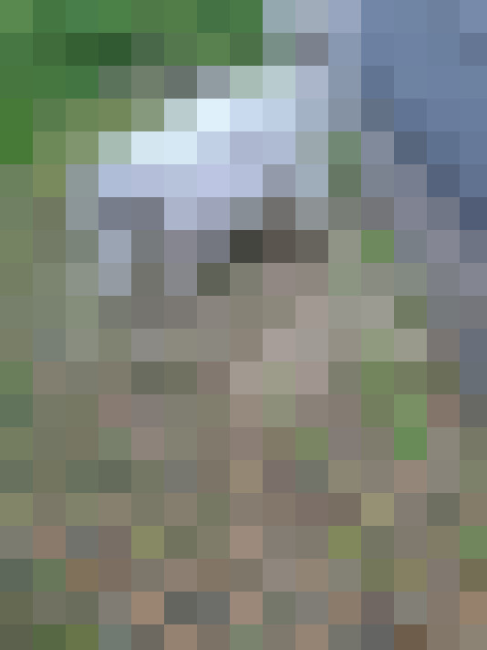  / #19