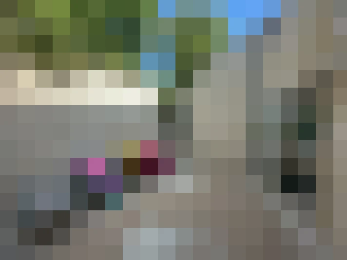  / #20
