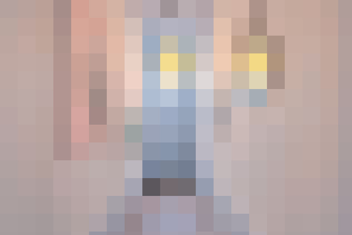  / #8