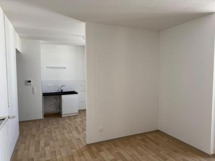 Voir la photo 1/16 du type apartment à Oullins-Pierre-Bénite
