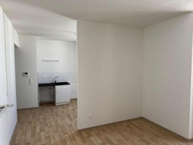 Appartement à Oullins-Pierre-Bénite