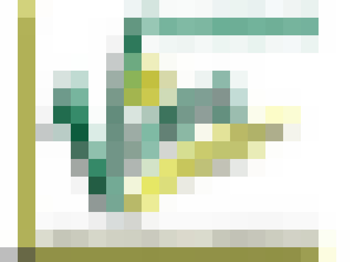  / #6