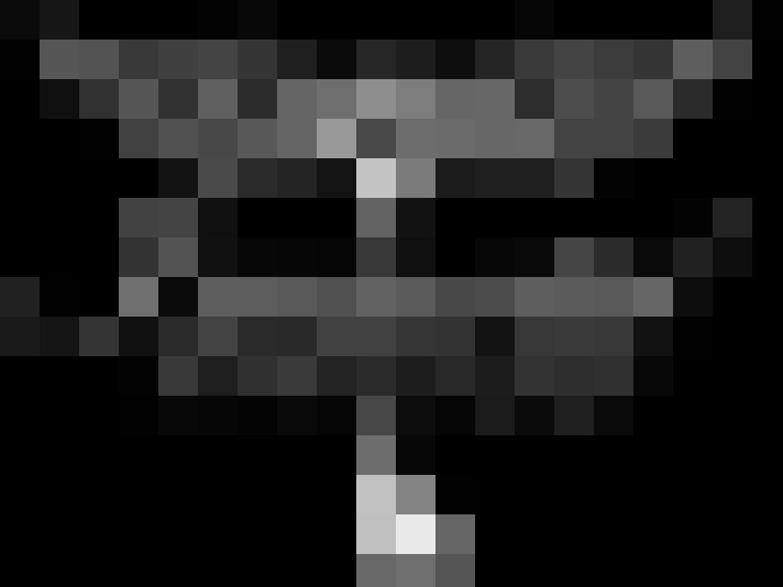  / #18