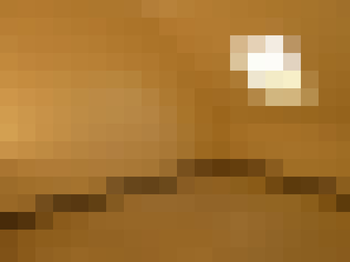  / #6
