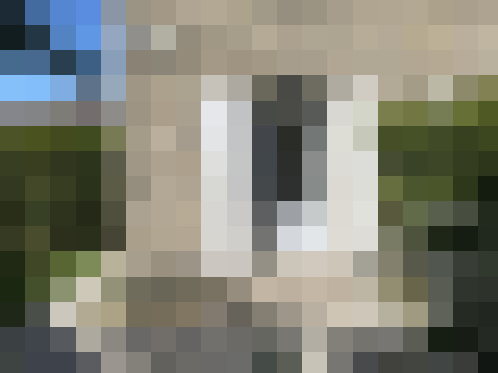  / #11