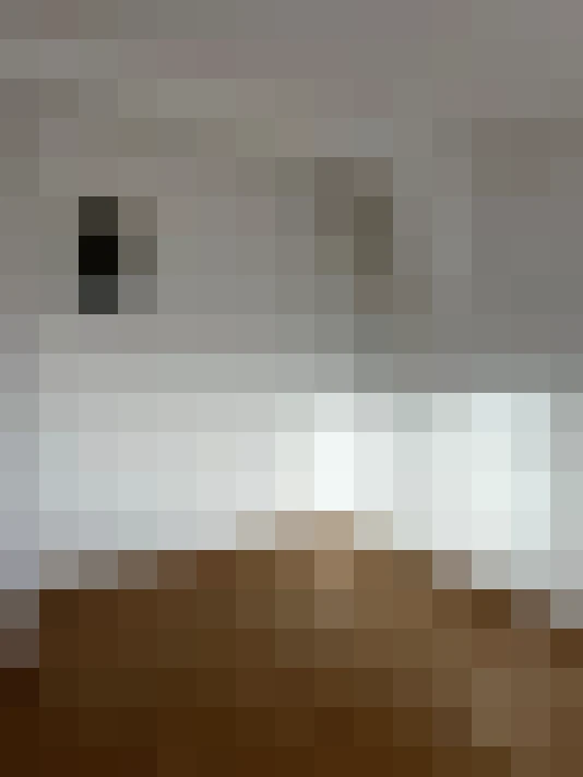  / #8