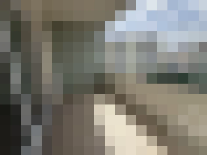  / #15