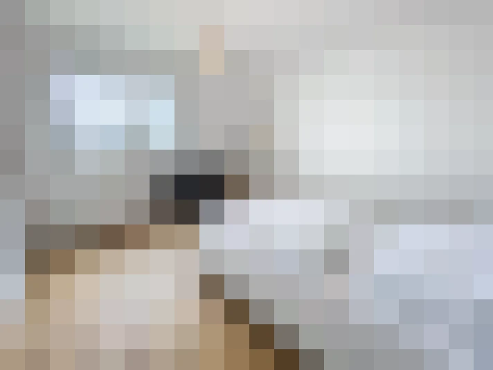  / #15