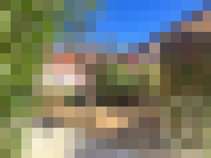  / #11