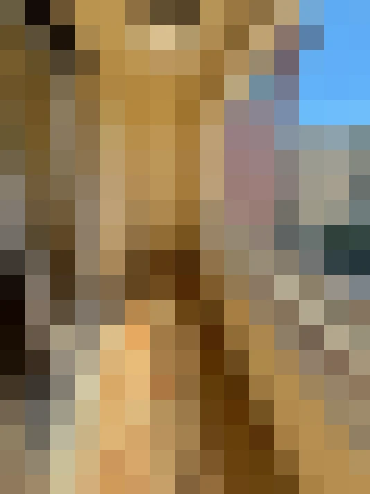  / #11
