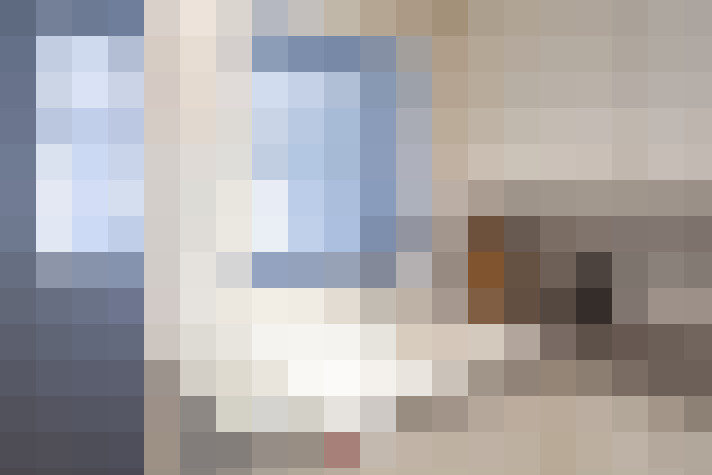  / #20