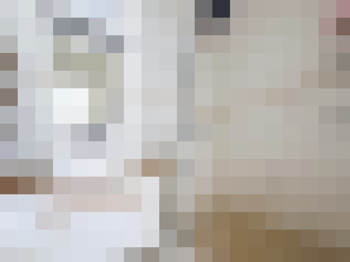  / #12