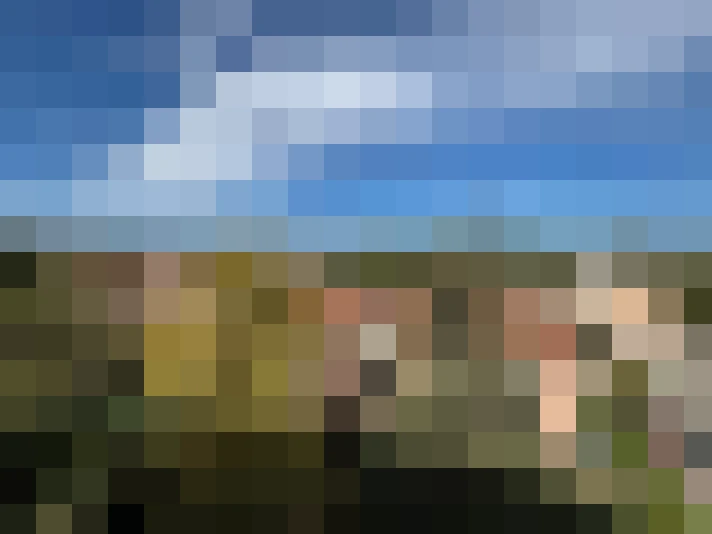  / #7