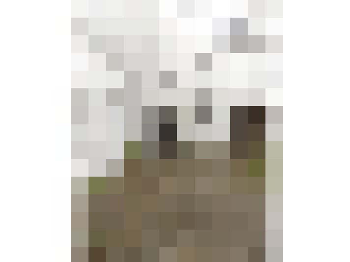  / #9