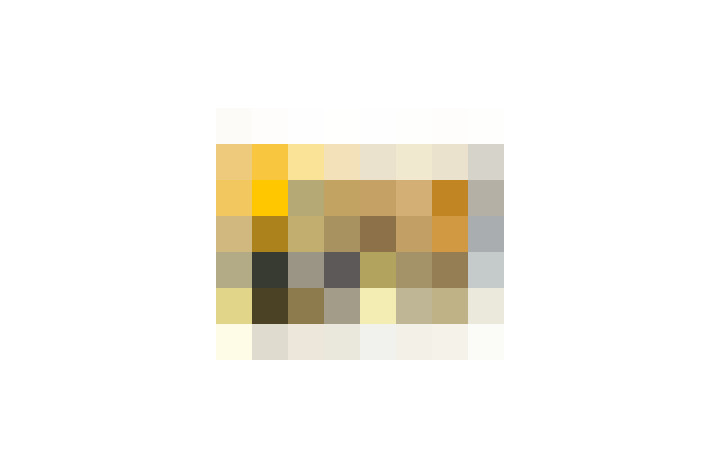  / #9